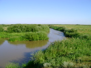 Рыбацкий маршрут по реке Нуре
